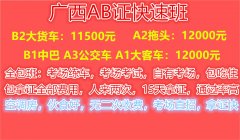 洛阳考B2驾照多少钱