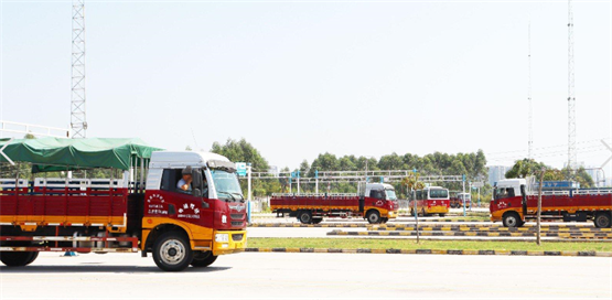 阳江增驾B1A1A3驾校 阳江学A1B1客车A3公交车