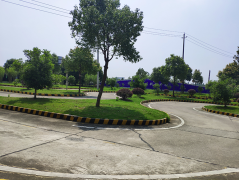 岳阳新阳驾校-新阳驾校训练场-报名学费-电话