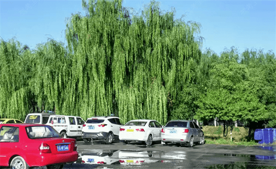 银川驾校训练场